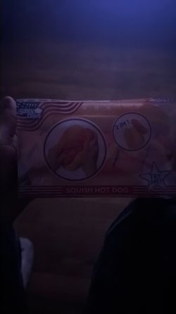 Viral hot dog squishy
