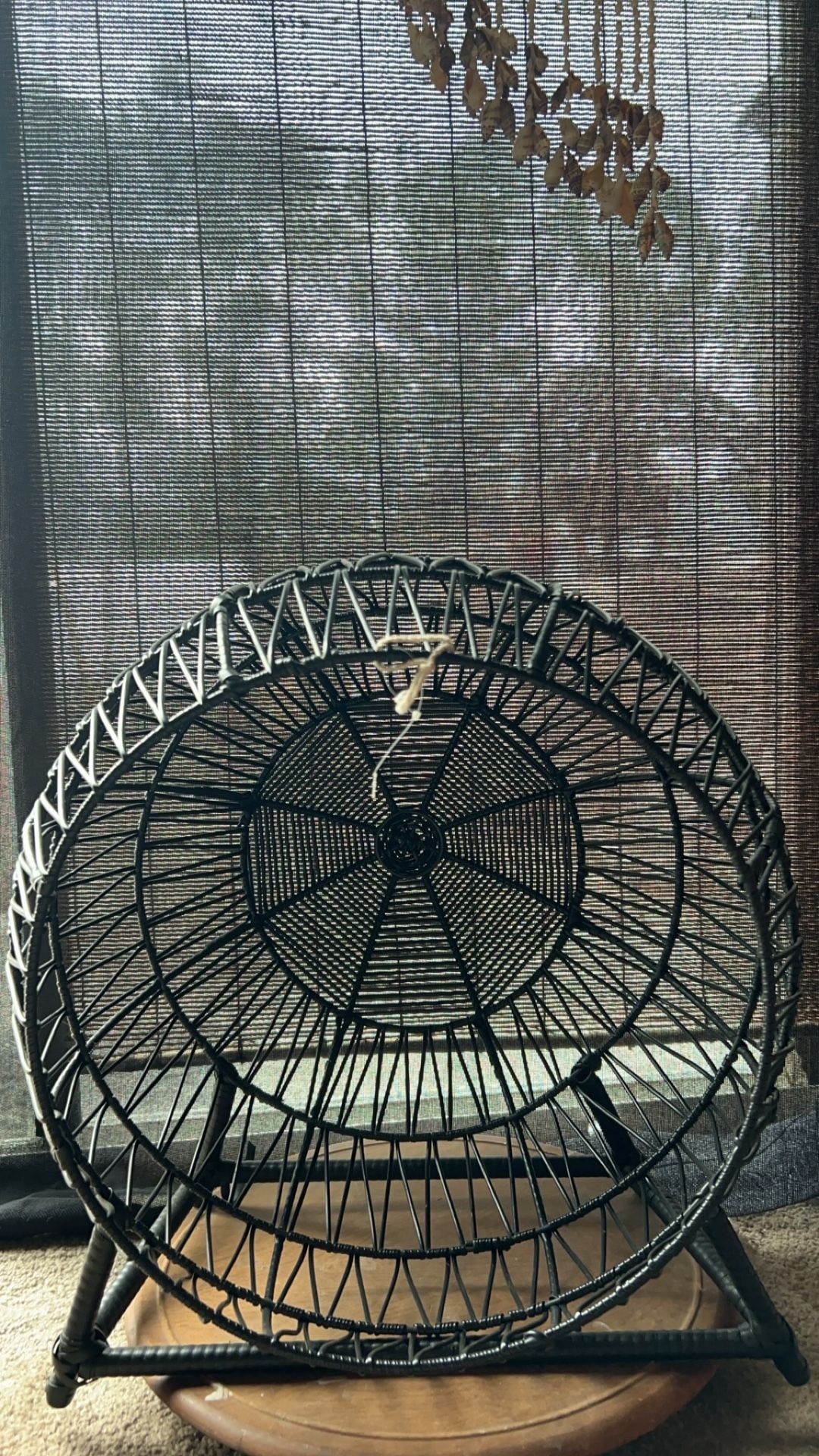 Wicor Cat Bed/Storage