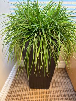 Planter with Articial Foliage