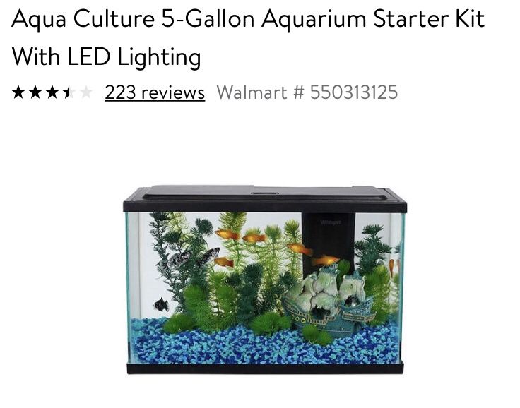 5 Gallon Fish Tank with Accessories