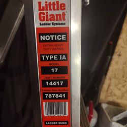 Little Giant Ladder
