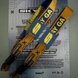 Skyline Festival wristband