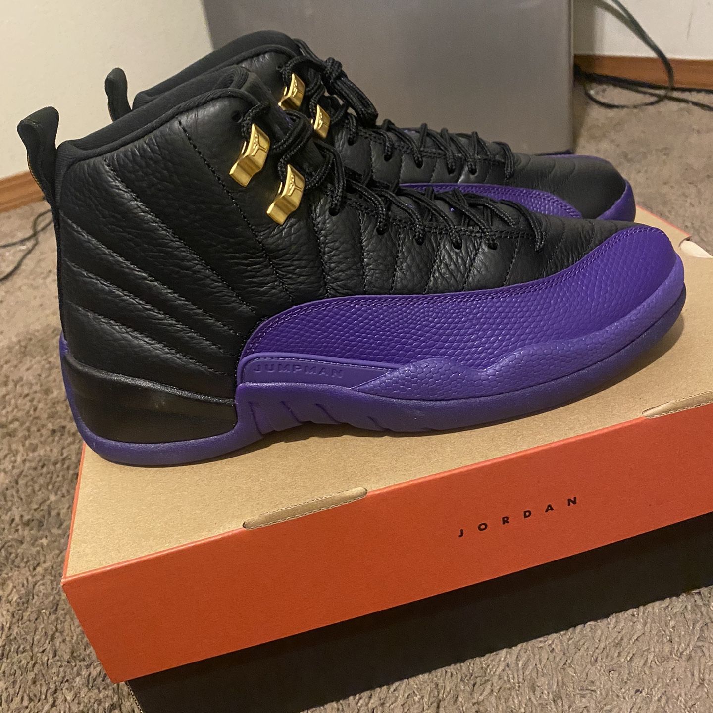 Jordan 12    9.5      $160