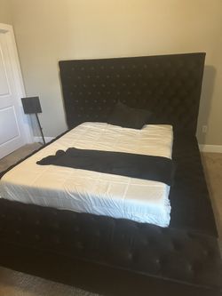 Queen Black low Profile Bed For Sale 