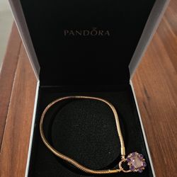 Pandora Bracelet 