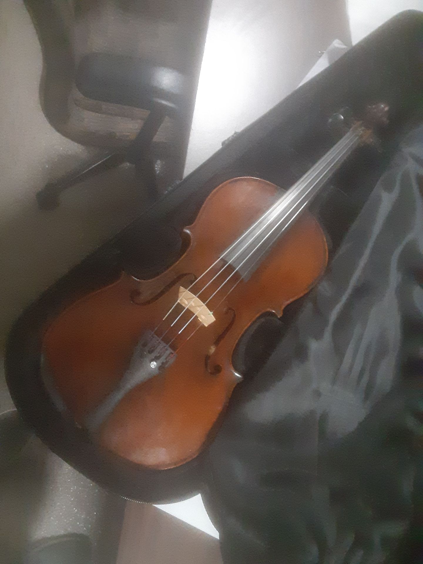 Antonius stradivarius cremonensis