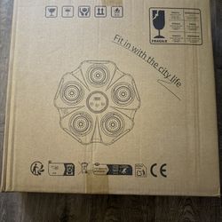 Pretty Cool Bluetooth Boxing Kit