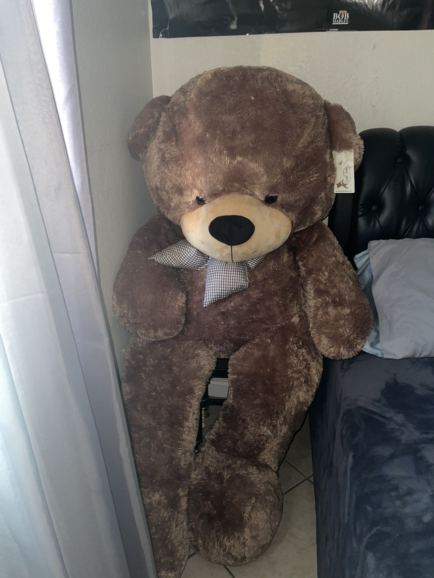 Giant Teddy Bear 