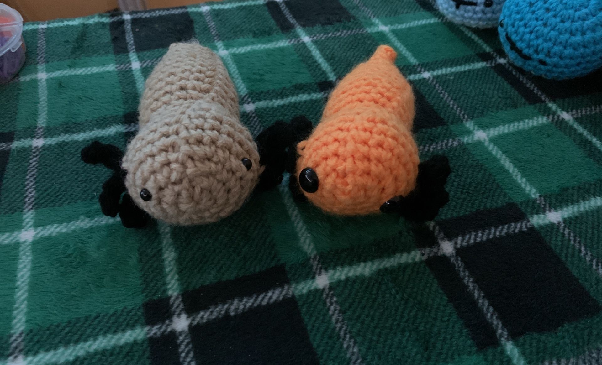 Axolotl