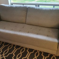 Light Grey Couch
