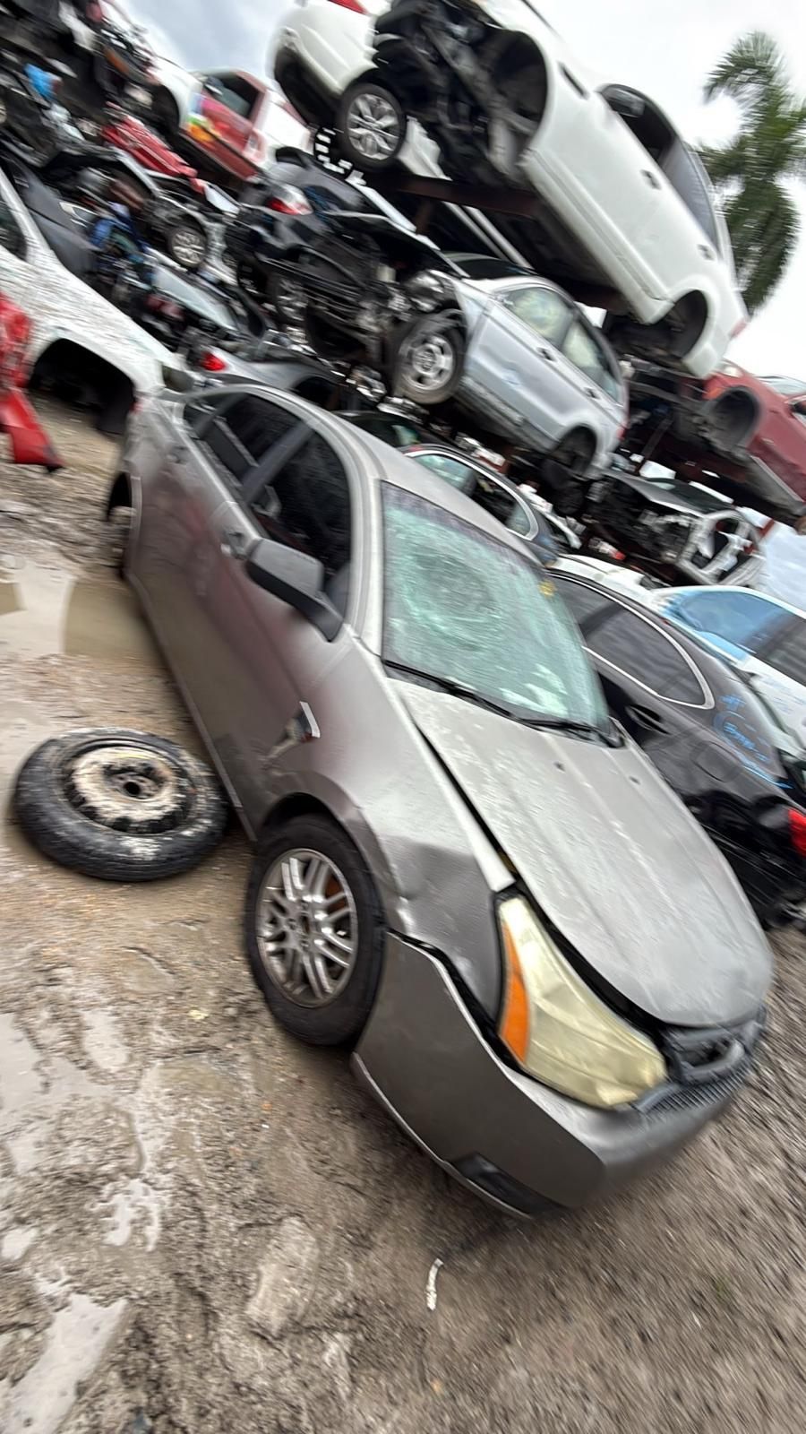 Ford focus 2008  Only Parts 