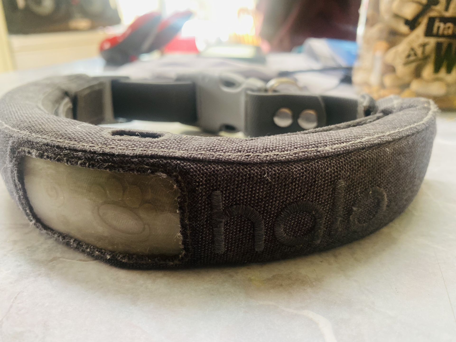 Halo GPS Dog Collar