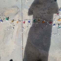 Free Christmas Lights 