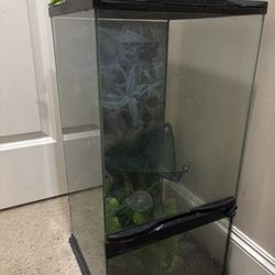 Reptile enclosure 