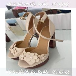rest show Event Fashion Shine with Sophisticated and Modern Styles