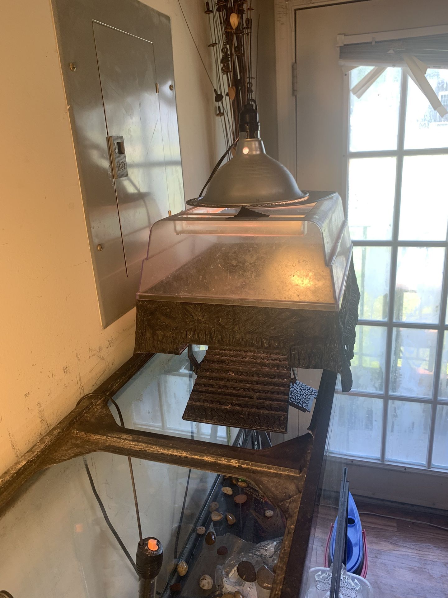 Turtle Basking deck With Light