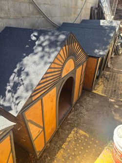 Large dog house