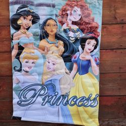 Disney Princess Jumper Banner