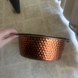 Dog Bowls 