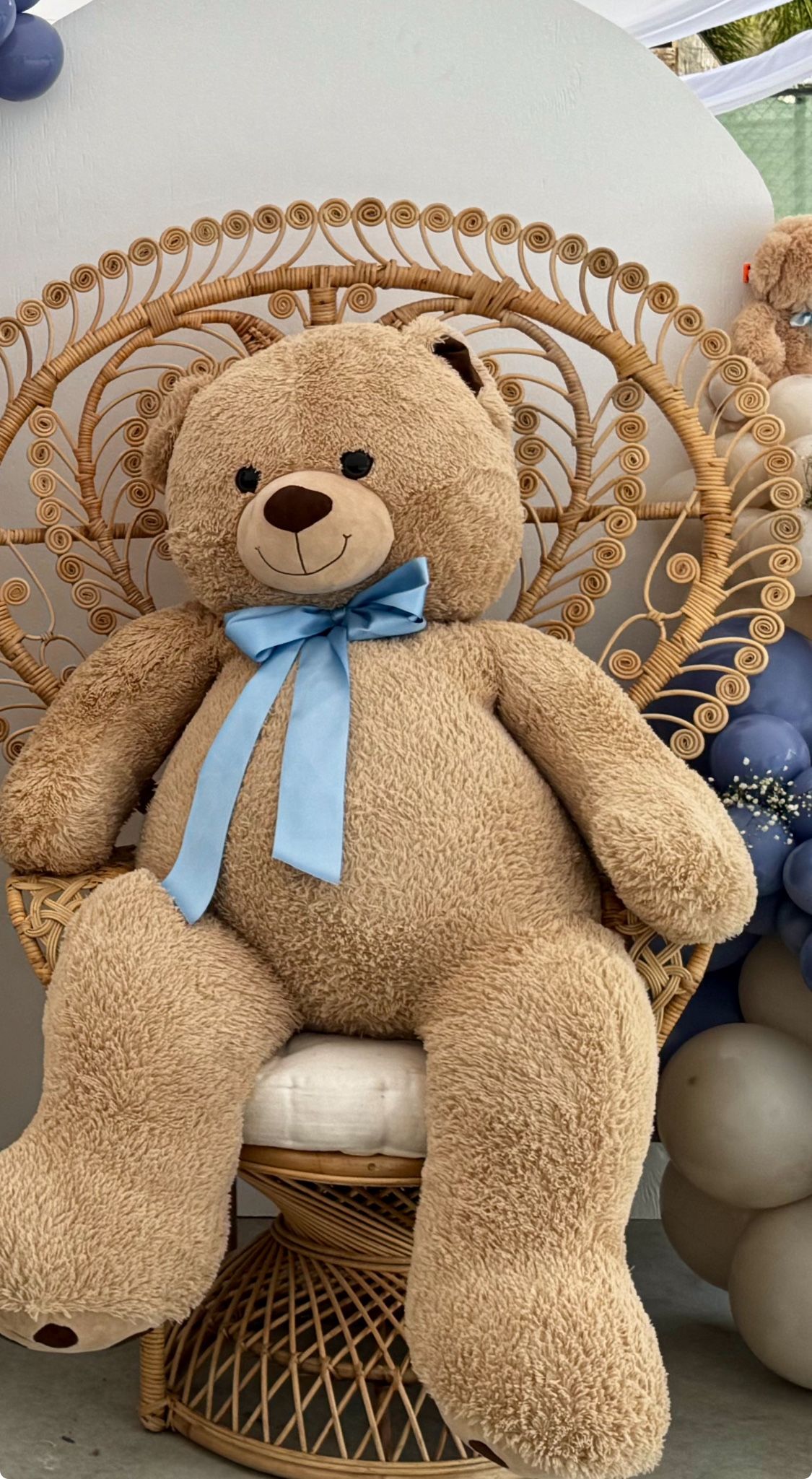 Teddy bear