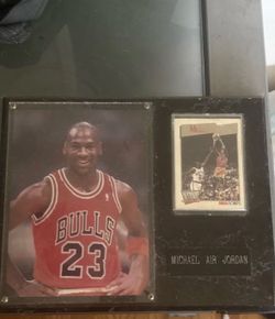 Michael Jordan 1991-92 NBA Hoops Supreme Court #455 Wall Plaque - Chicago Bulls Air Jordan