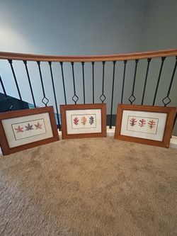 Framed pictures (fall leaves)