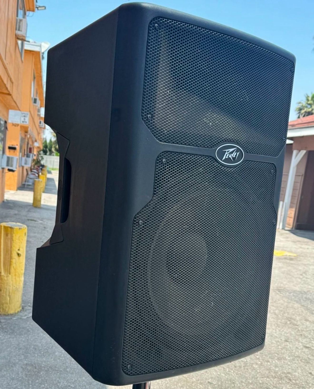 PEAVEY PVC P15