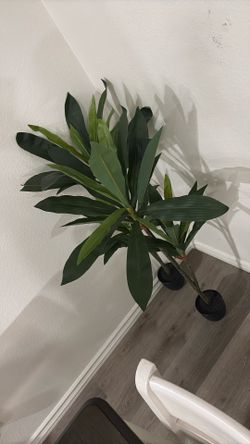 Artificial Decor Plants
