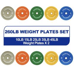 260 lb Weight Plates Set