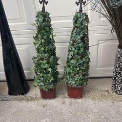 2 Small Trees 