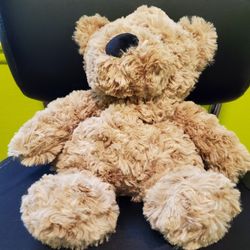 Teddy Bear