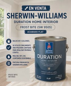 Paint - Sherwin Williams (SW9505)