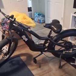 I Have A Mozo Electric Bike For Sale