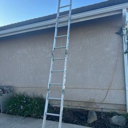 Folding Ladder