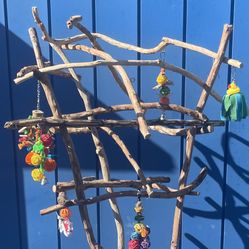 African Grey/ Amazon Fun n Wing Flapping Time … Loved By Our Feathered Buddies … 👍🏼💯