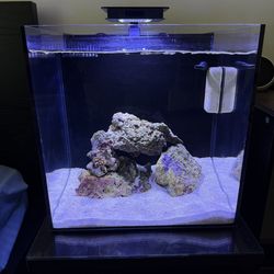 Saltwater Tank 15g