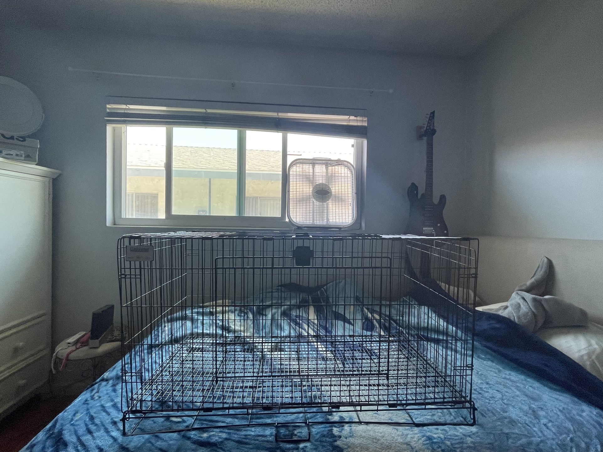 Rabbit/bunny Cage