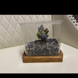 Fish Aquarium