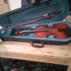 Beginners Violin