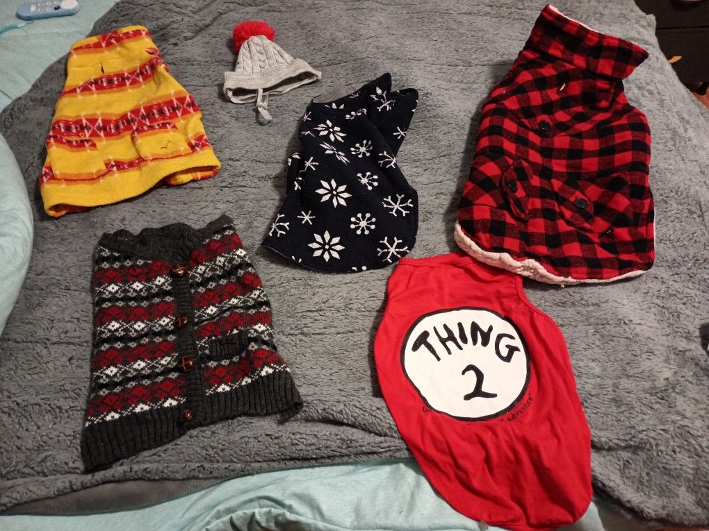 large dog clothes