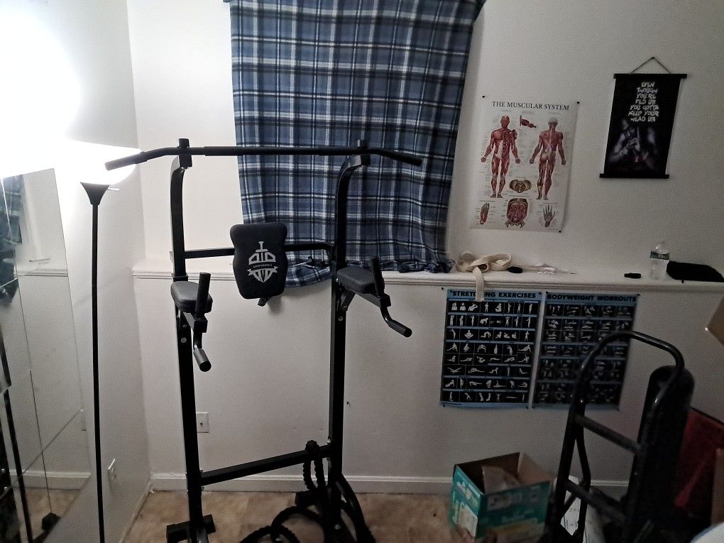 Pull Up Bar And Dip Station