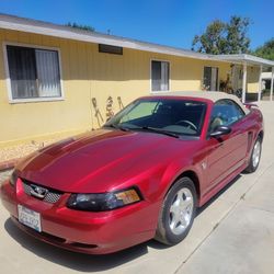 2004 Ford Mustang