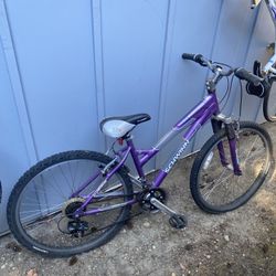 Schwinn Bike