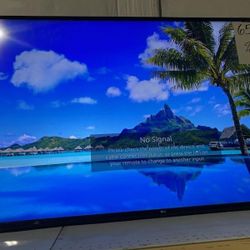 65-in LG TV