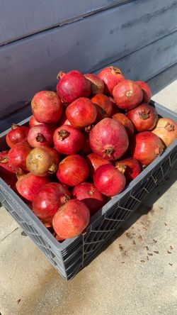 Pomegranates