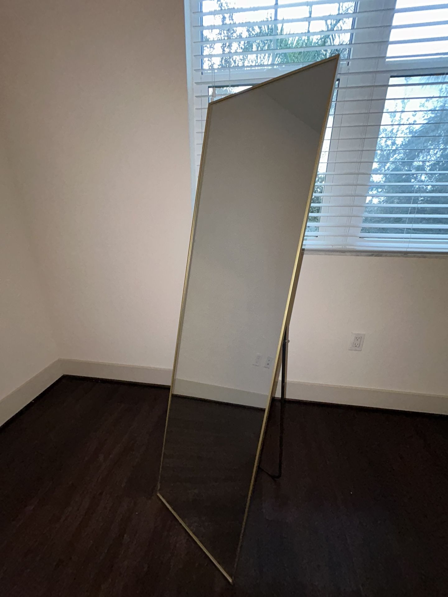 $30 Body Mirror With Box