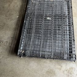 Large Dog Kennel