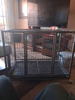 Large dog crate