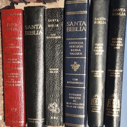 (18) Santa Biblias, See 2 Pics, $12 - $15 Each