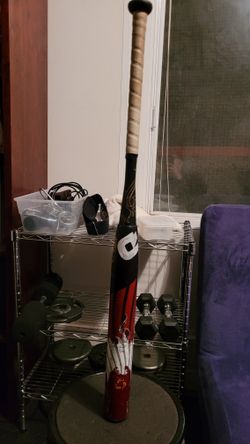 Softball Bat Demarini
